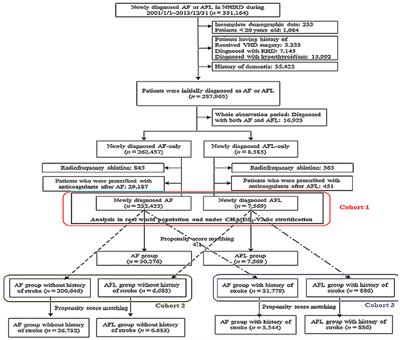 Differential Risk of Dementia Between Patients With Atrial Flutter and Atrial Fibrillation: A National Cohort Study